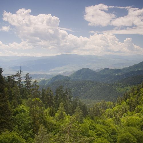 Borjomi-kharagauli national park