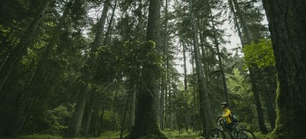 National parks of Georgia