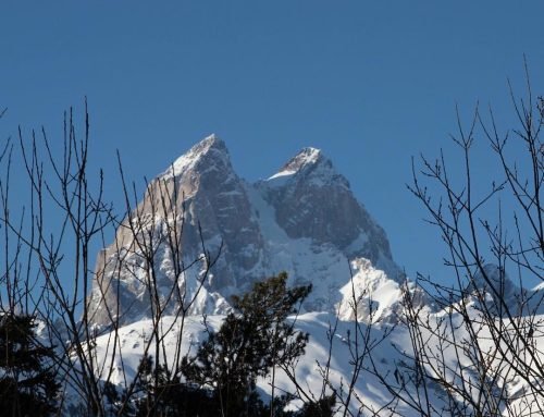 Trekking in Georgia: The Complete Guide to Hiking the Caucasus Mountains (2026)