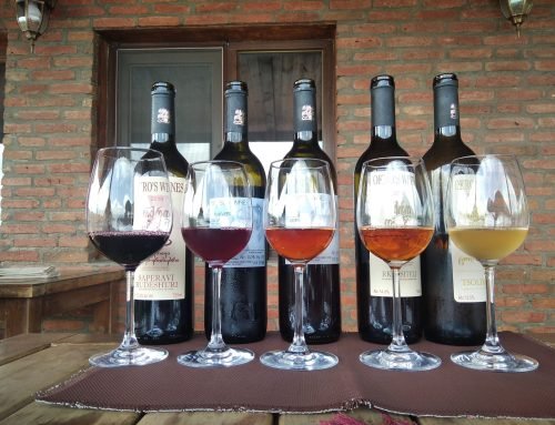Wine Tours in Georgia: What 8,000 Years of Winemaking Actually Tastes Like